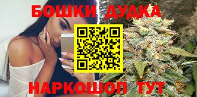 дмт Новокубанск