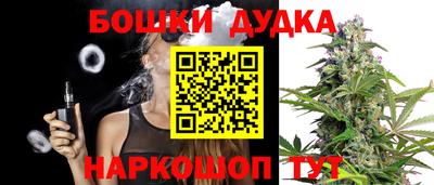 дмт Новокубанск