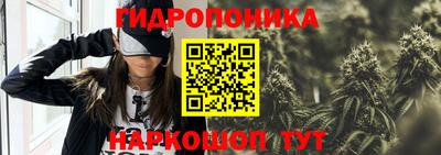 apvp Новозыбков