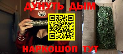 дмт Новокубанск