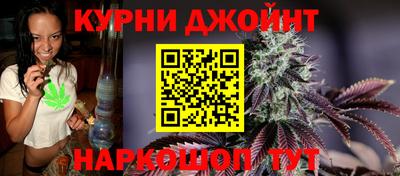 apvp Новозыбков